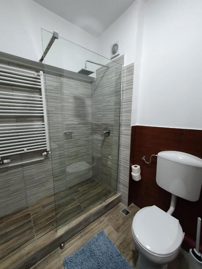 De Inchiriat - Petroshani Srl Homestay *