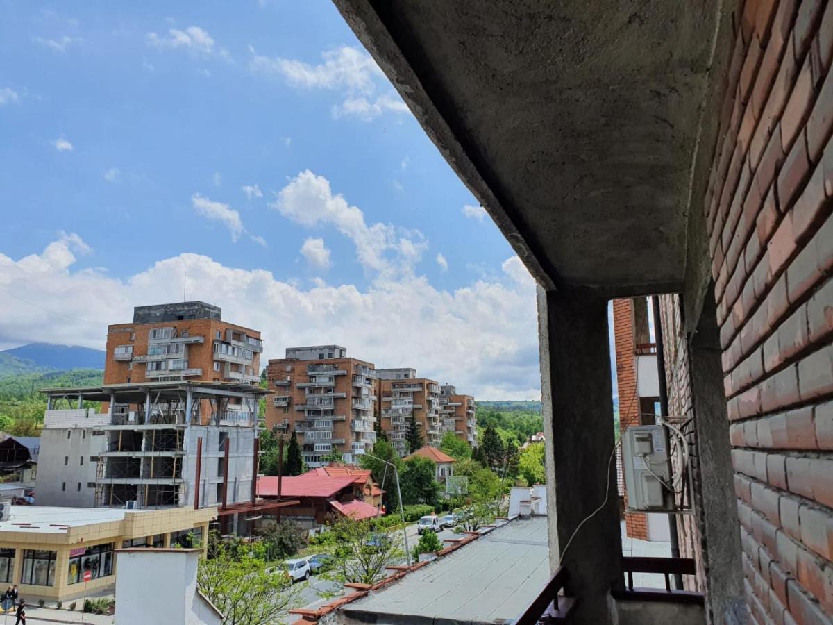 Homestay De Inchiriat - Petroshani Srl *